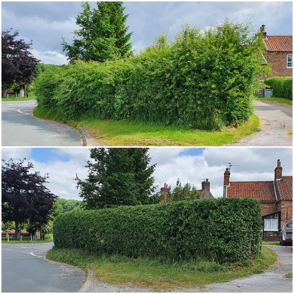 Hedge cutting services a little about Suffolk Landscaping Co